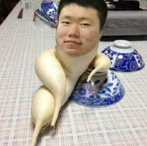 LiuKoushui's Blog